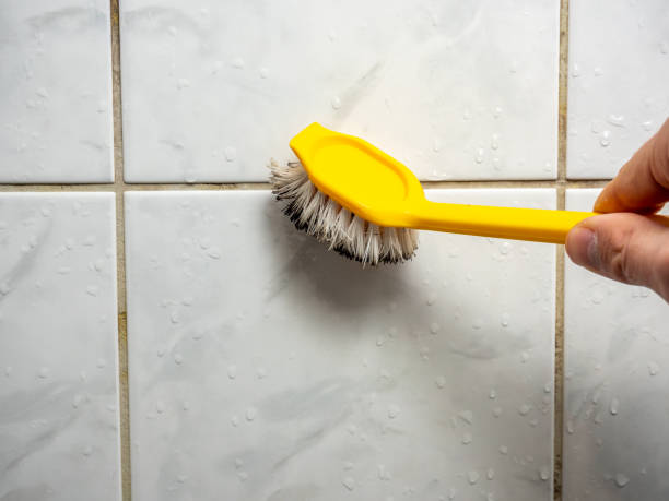 Best Local Mold Removal Service  in Wanaque, NJ