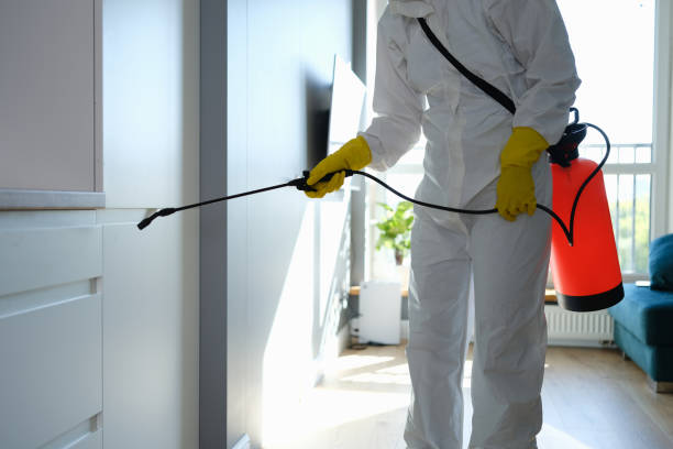 Certified Mold Removal in Wanaque, NJ