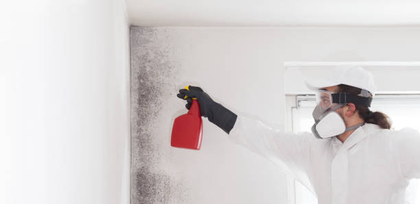Best Mold Damage Repair  in Wanaque, NJ